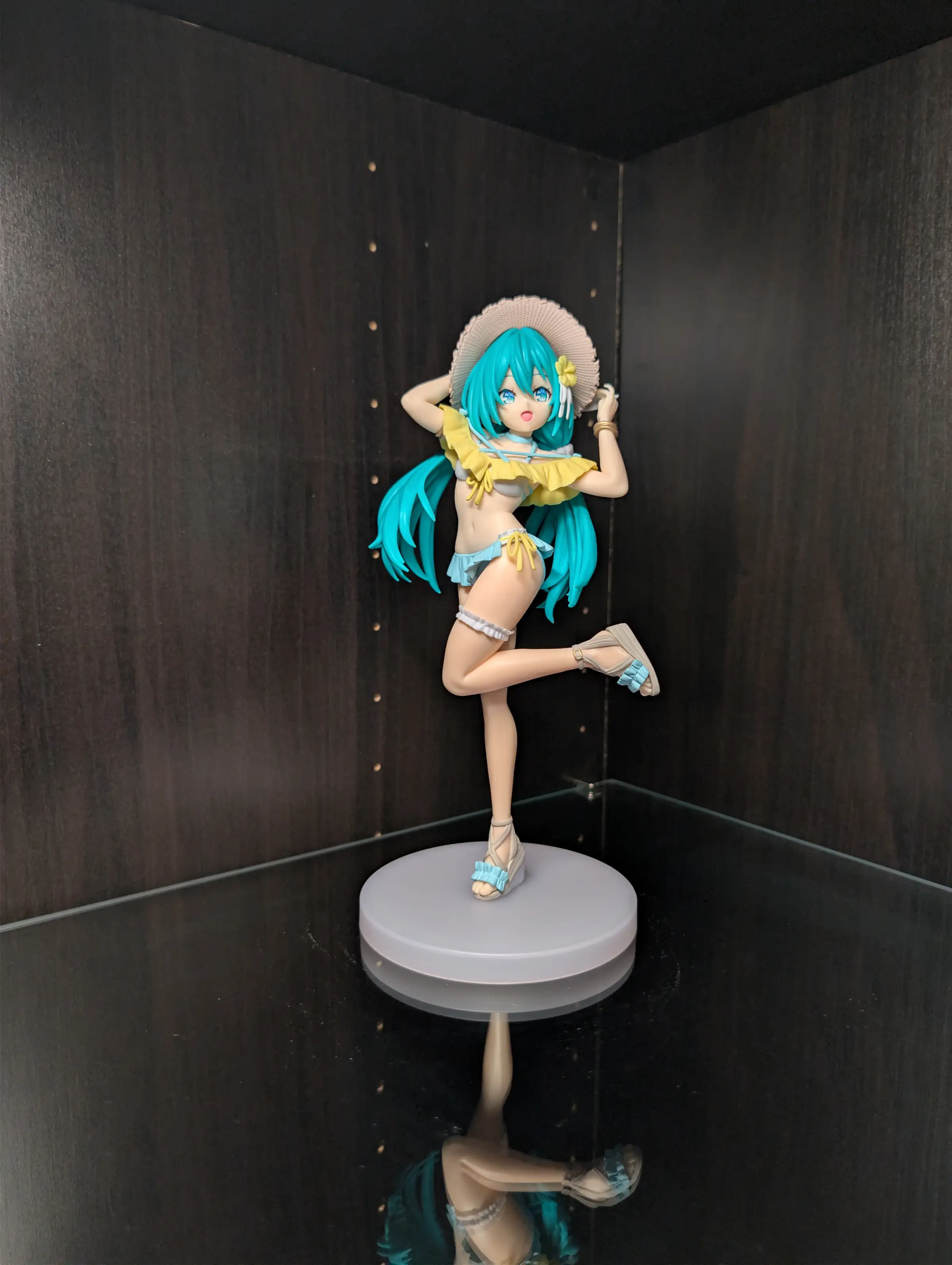 Image of figure Beach Straw Hat Miku