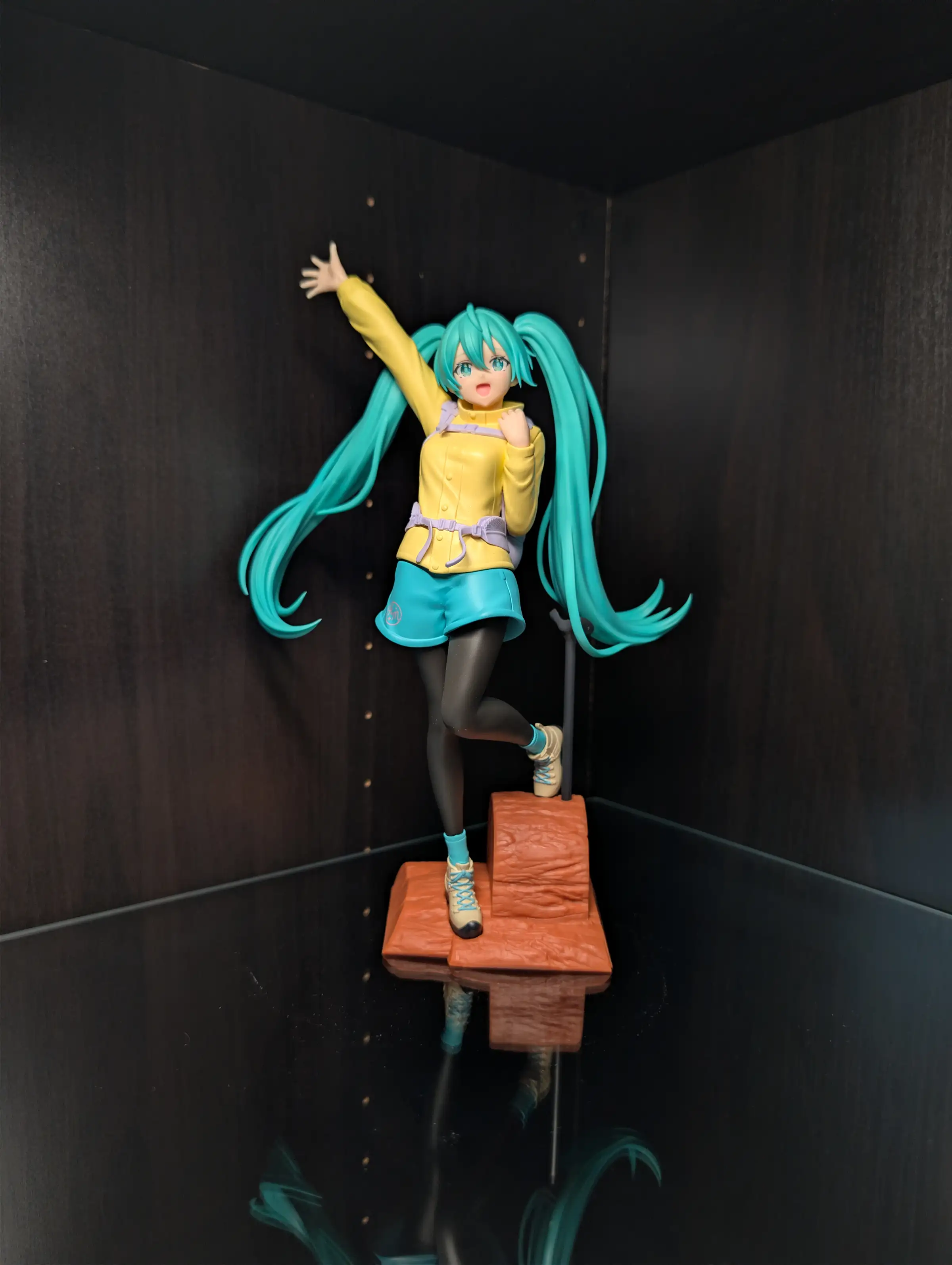 Image of figure Mountain Climber Miku
